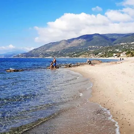 House 아파트 팔리누로