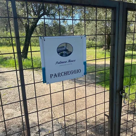 House * 팔리누로